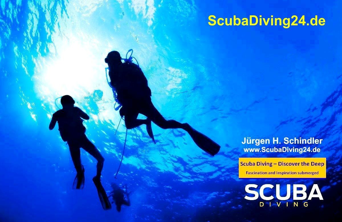 Scuba Diving Community Worldwide